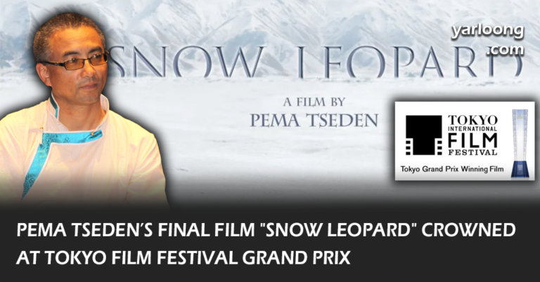 Highlighting the Tokyo International Film Festival's award winners including 'Snow Leopard' by Pema Tseden and standout films like 'Tatami'.