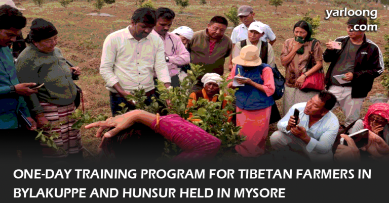 "Discover the impactful one-day training program in Mysore for Bylakuppe and Hunsur farmers, focusing on citrus crop management, pest control, and nutritional techniques, organized by the Organic Research and Training Centre and reported by Tibet.net."