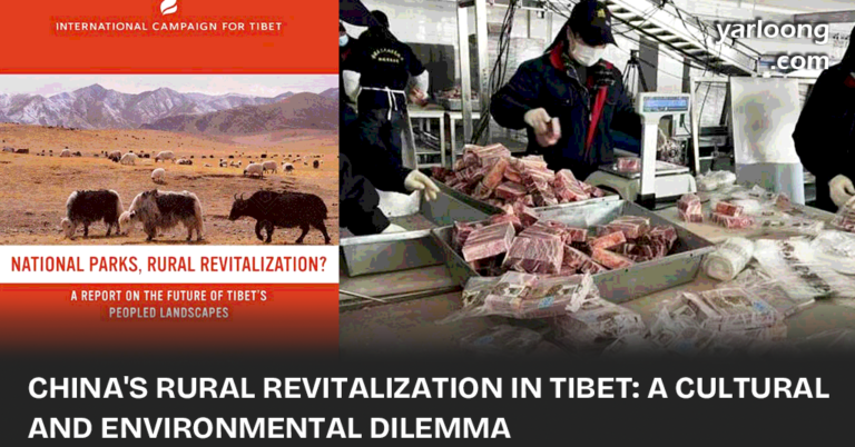 Exploring the impact of China's policies on Tibet's traditional lifestyle and environment. A delicate balance between development and cultural preservation is needed.
